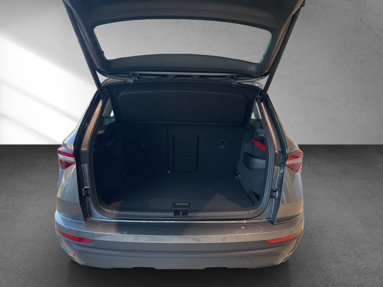 SKODA SKODA Karoq Dynamic-image-12