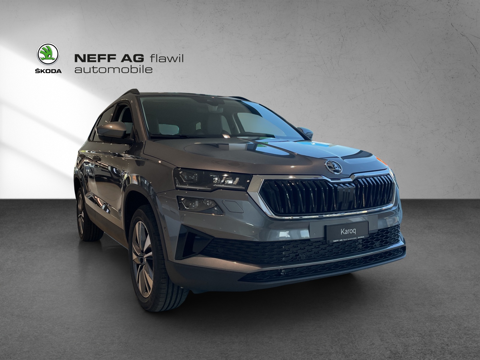 SKODA SKODA Karoq Dynamic-image-2
