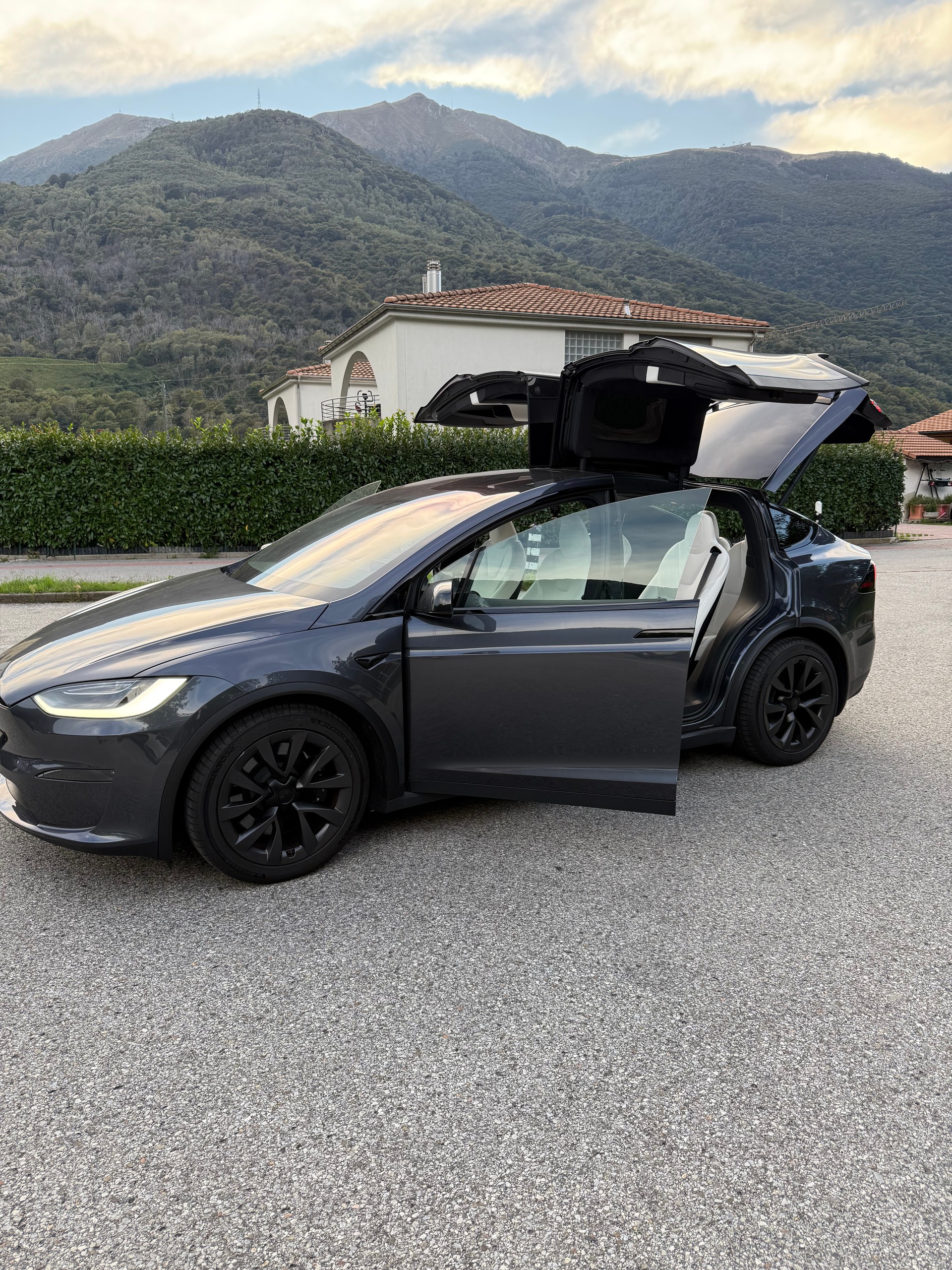 TESLA Model X Long Range Dual Motor Palladium Refresh-image-1