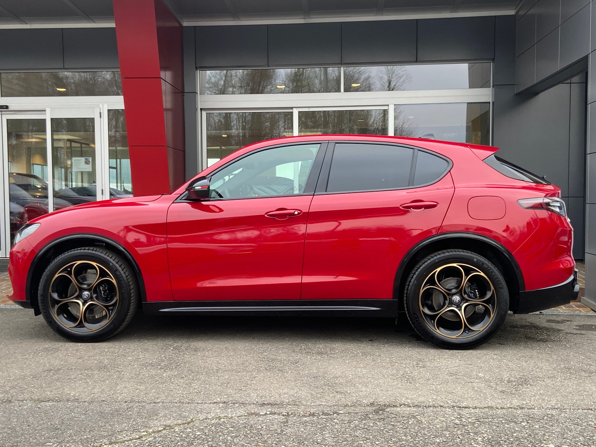 ALFA ROMEO Stelvio 2.0 Intensa Sky Q4 AT8-image-18