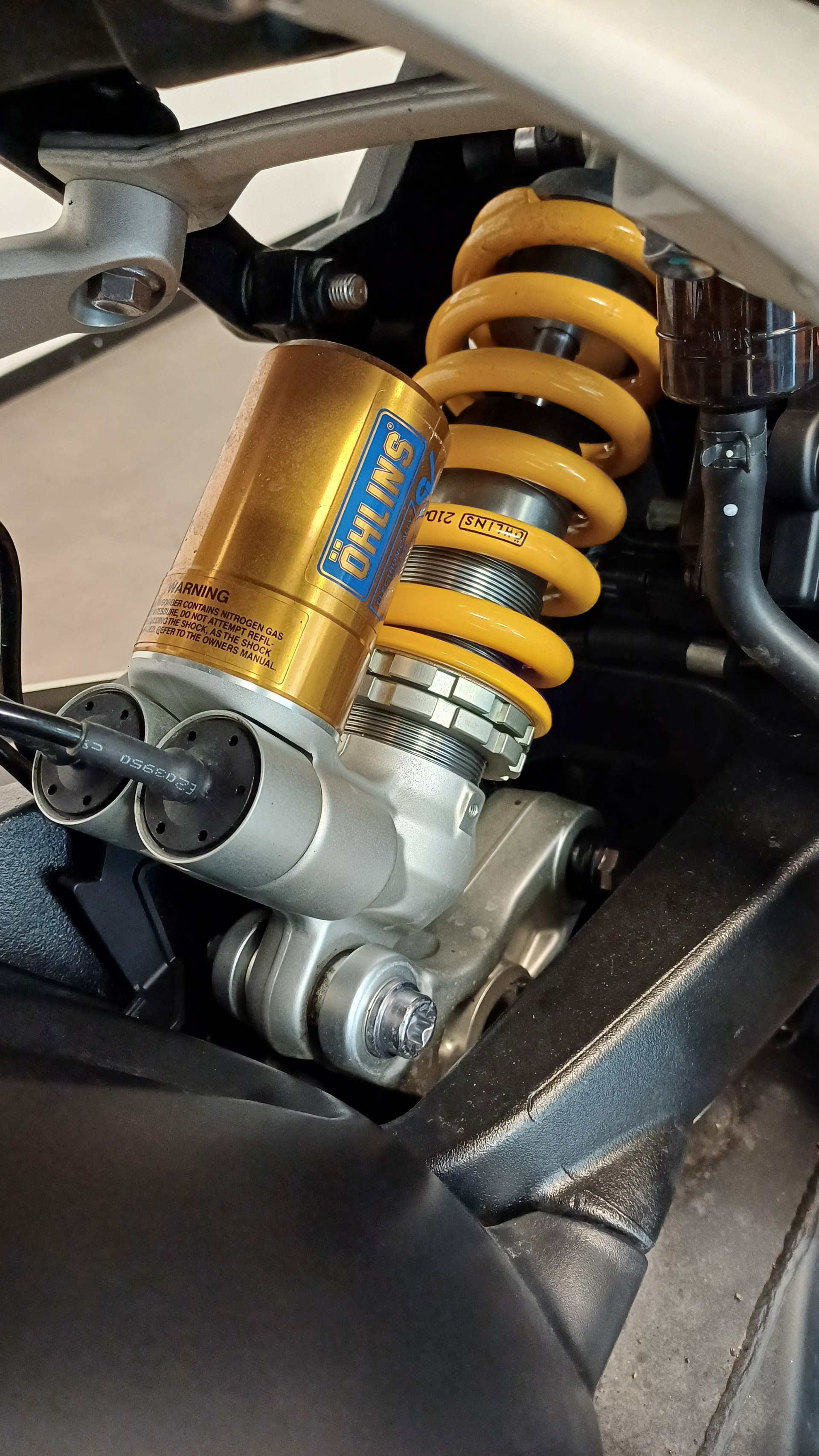 TRIUMPH Speed Triple 1200 RS-image-8