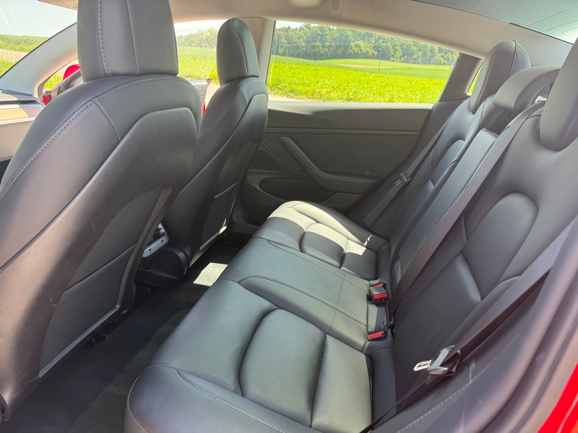 TESLA Performance D-image-3