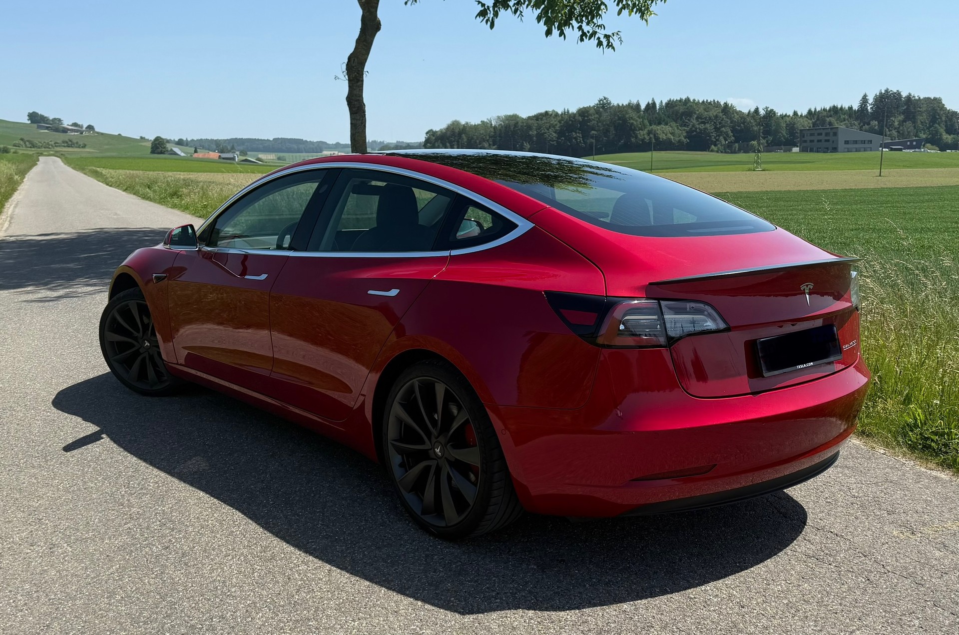 TESLA Performance D-image-1