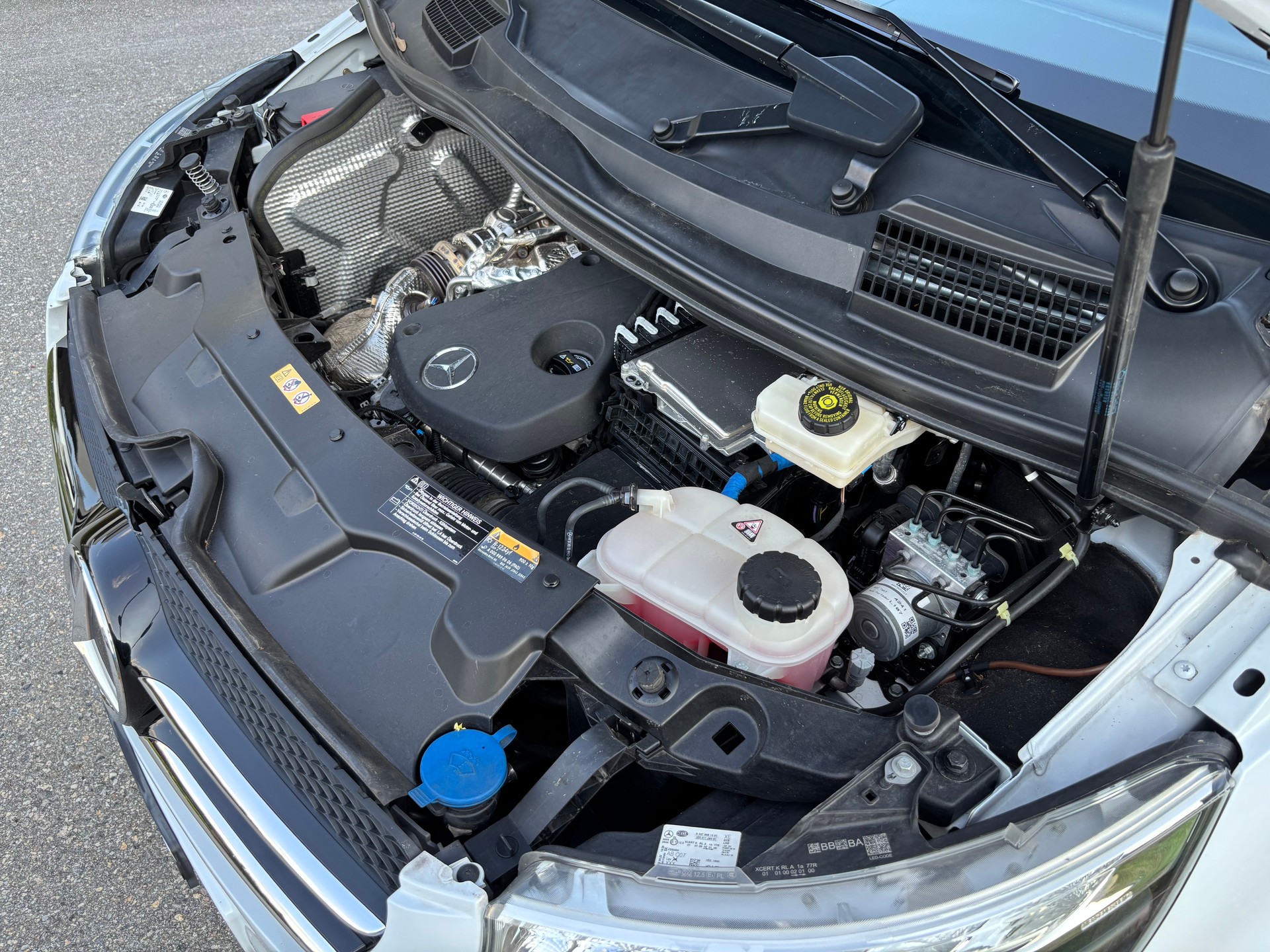 MERCEDES-BENZ Marco Polo 4Matic 250d-image-16