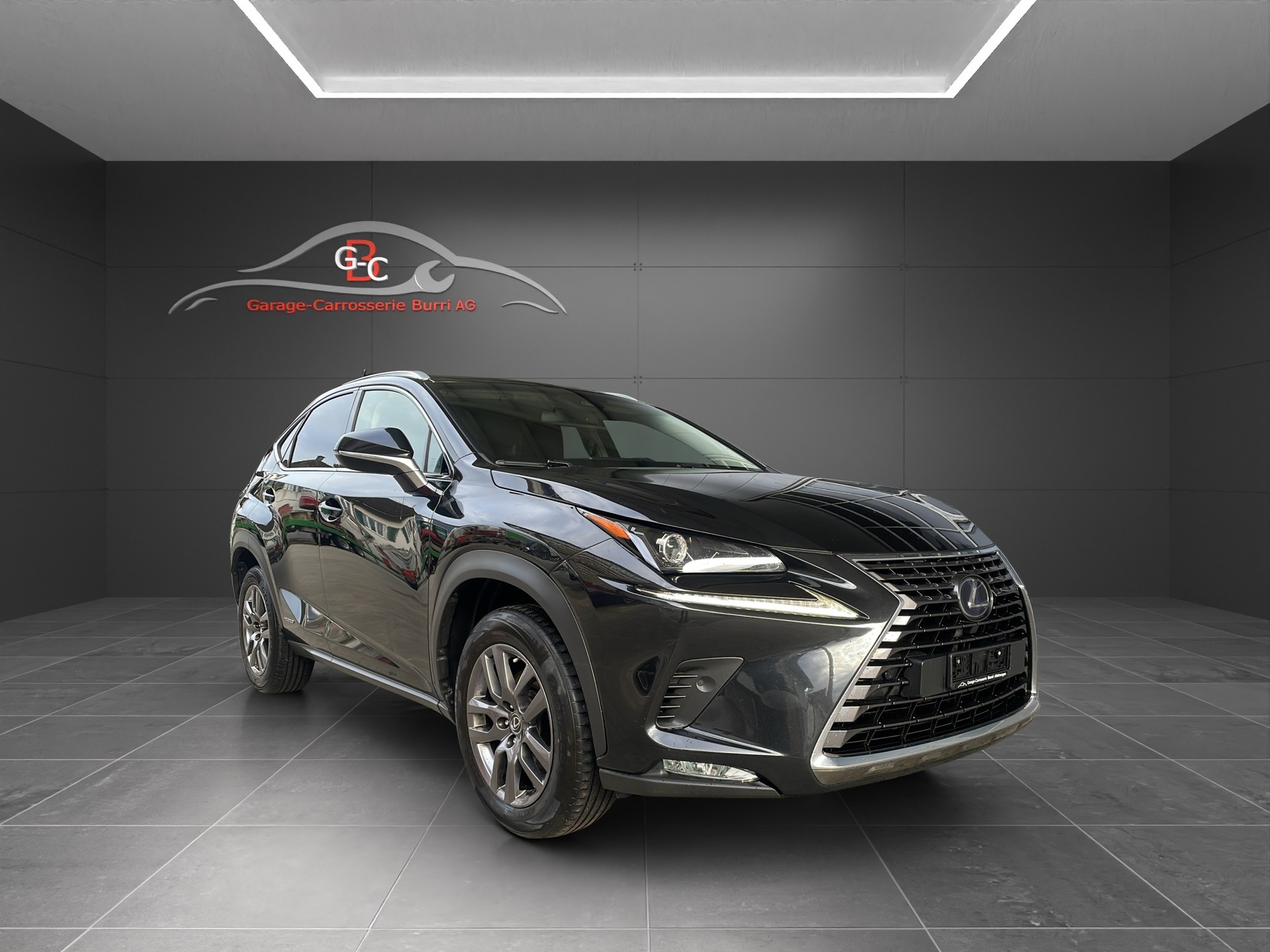 LEXUS NX 300h Diamond E-Four Automatic-image-2