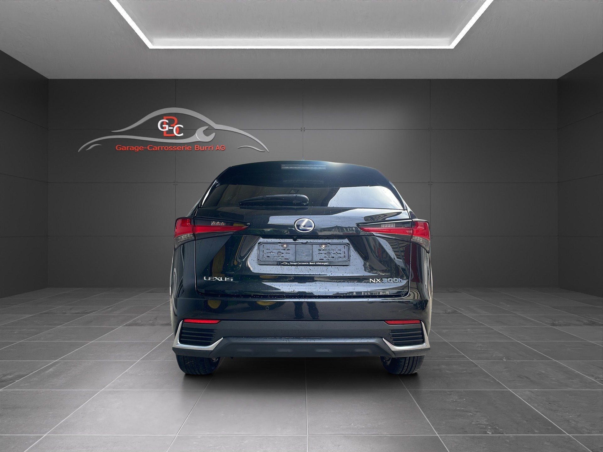 LEXUS NX 300h Diamond E-Four Automatic-image-4