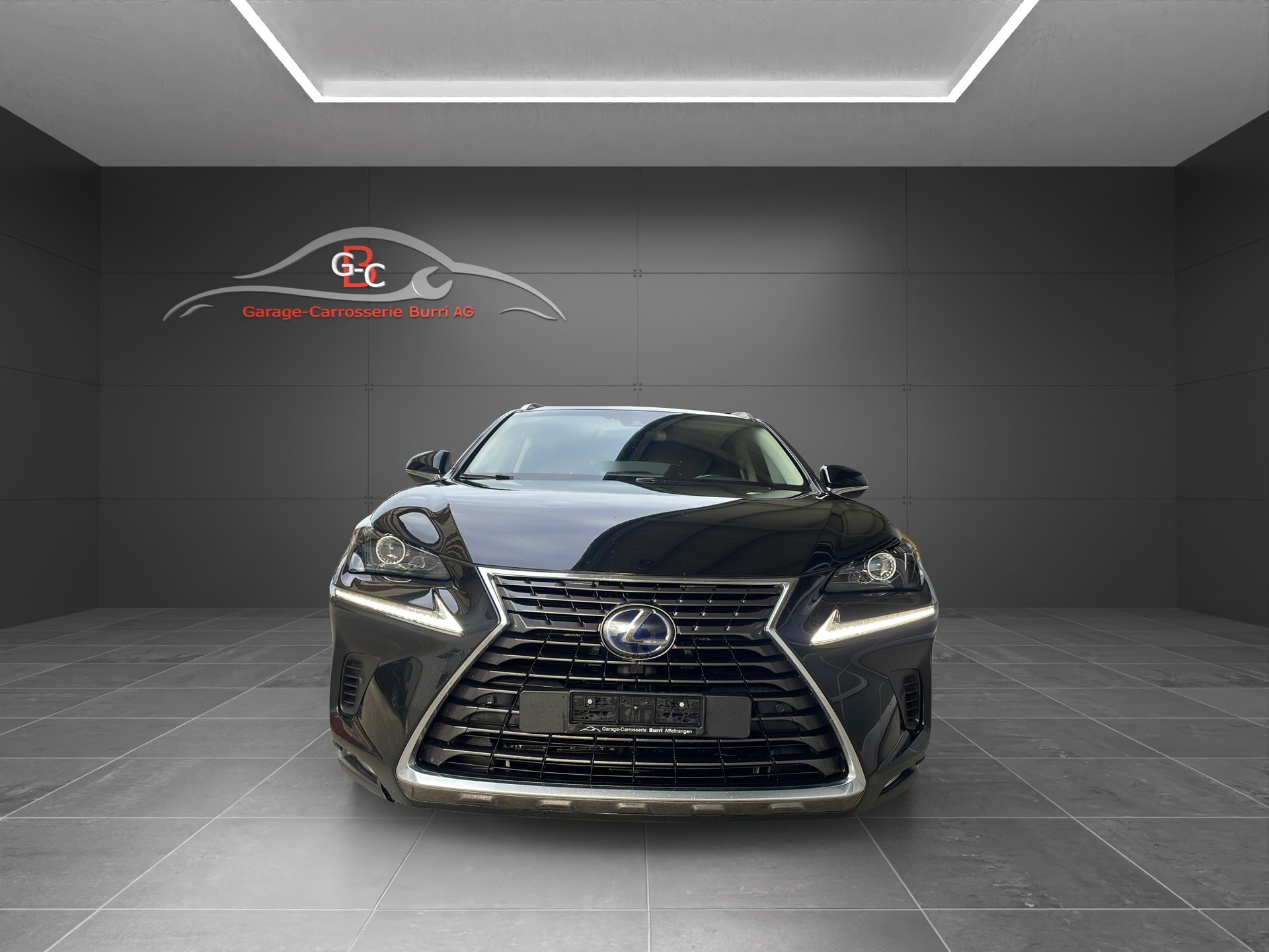 LEXUS NX 300h Diamond E-Four Automatic-image-1