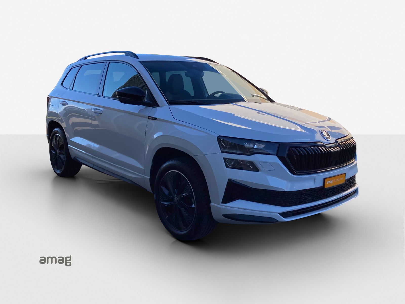 SKODA Karoq 2.0 TSI SportLine 4x4 DSG-image-5