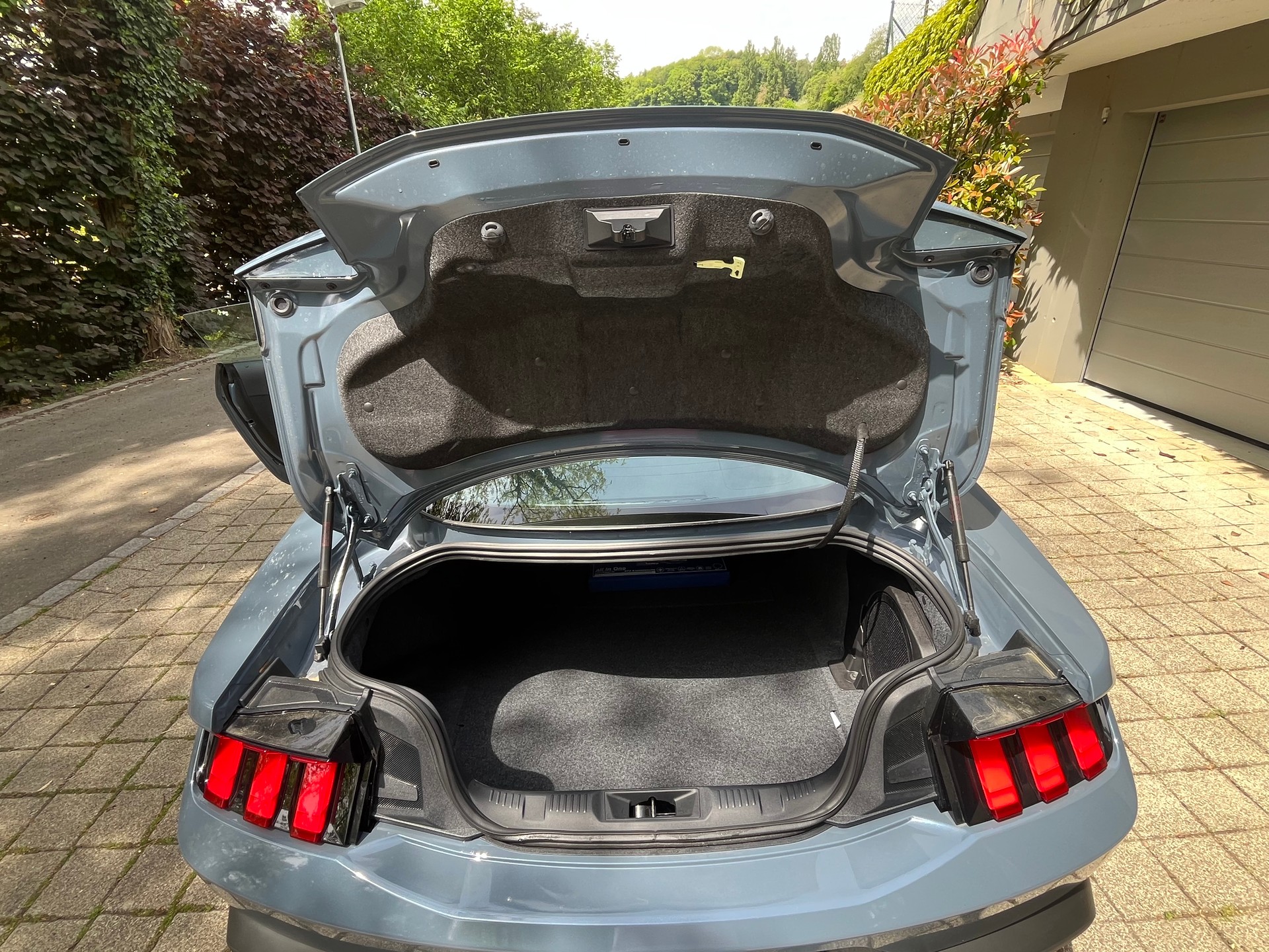 FORD MUSTANG-image-7