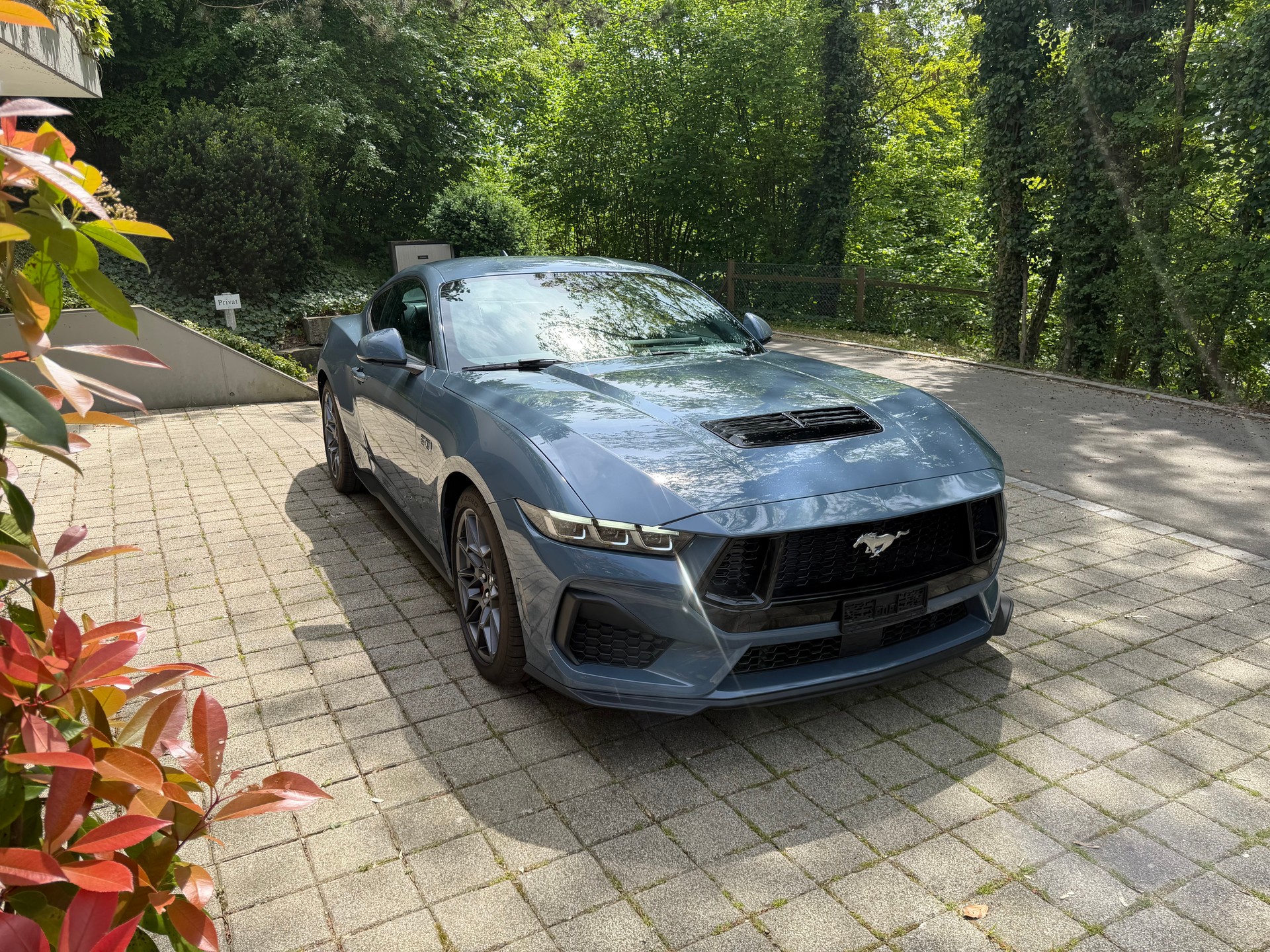 FORD MUSTANG-image-1