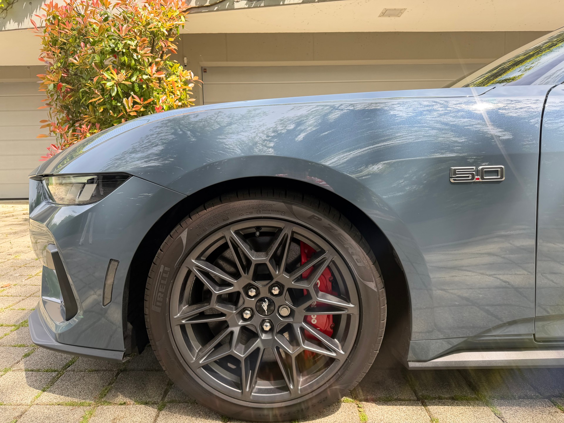 FORD MUSTANG-image-3