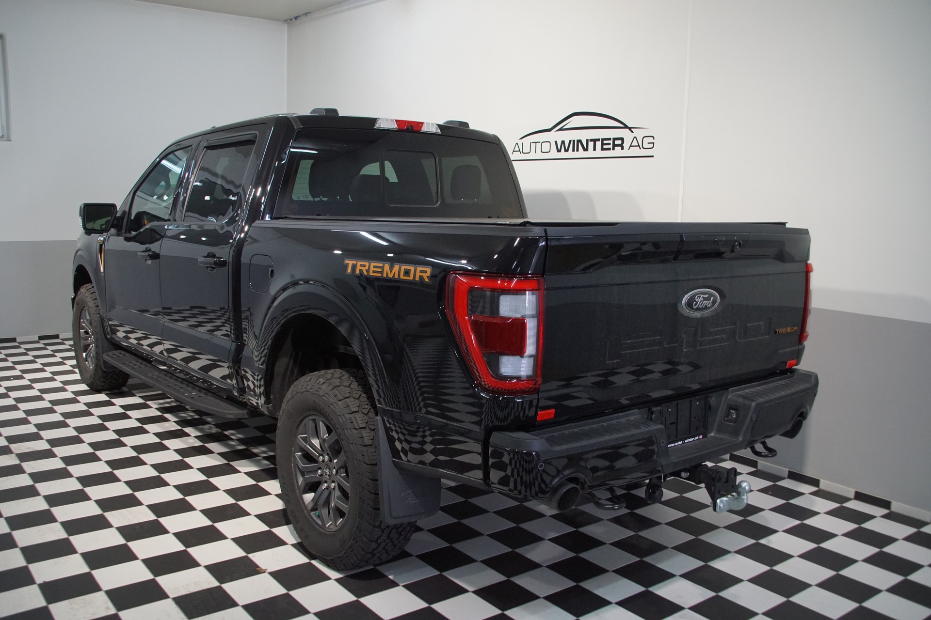 FORD F150 3.5L V6 TREMOR Super Crew-image-9
