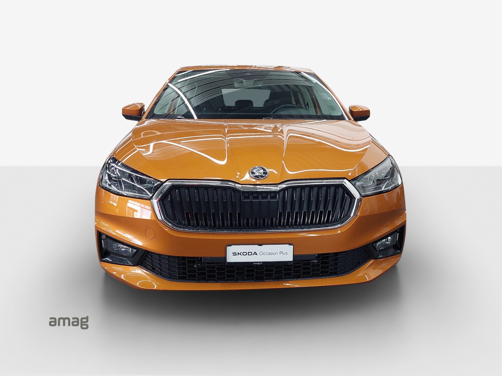 SKODA Fabia 1.0 TSI Style-image-6