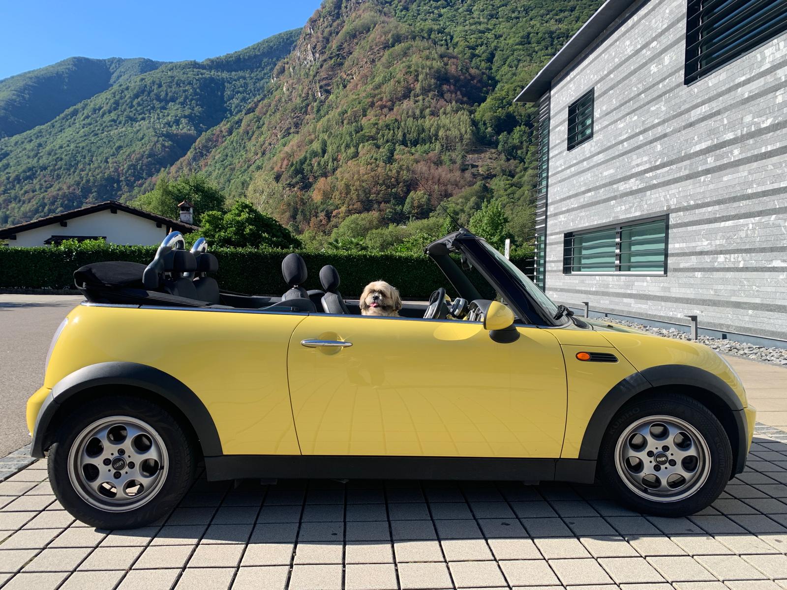 MINI 1.6i Cooper-image-1