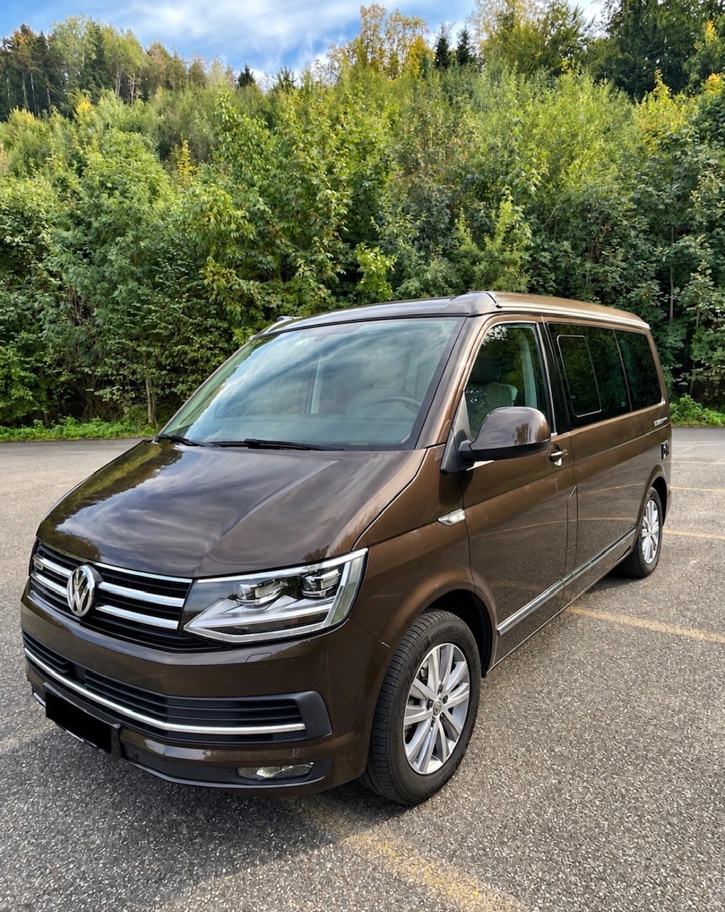 VW 2.0 TDI 204 Ocean GREY DSG 4m-image-3