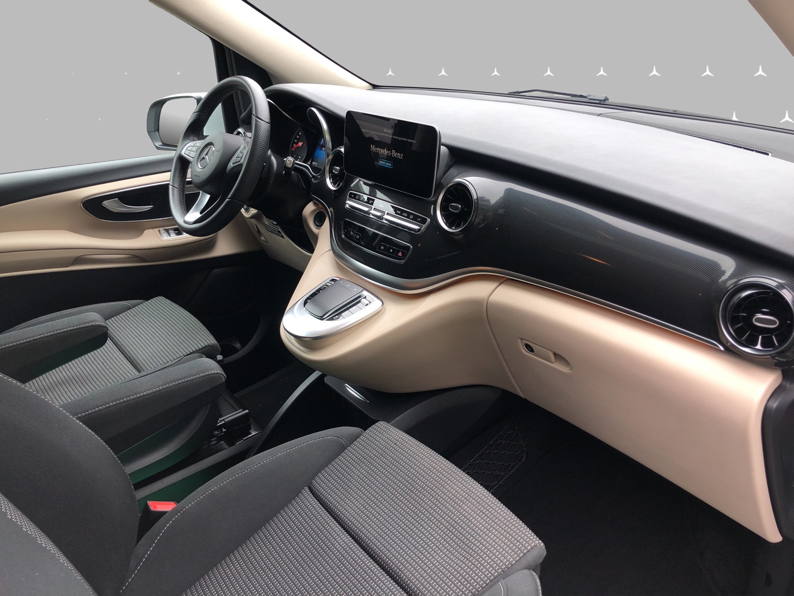 MERCEDES-BENZ Marco Polo 250 d 4M Automat-image-9