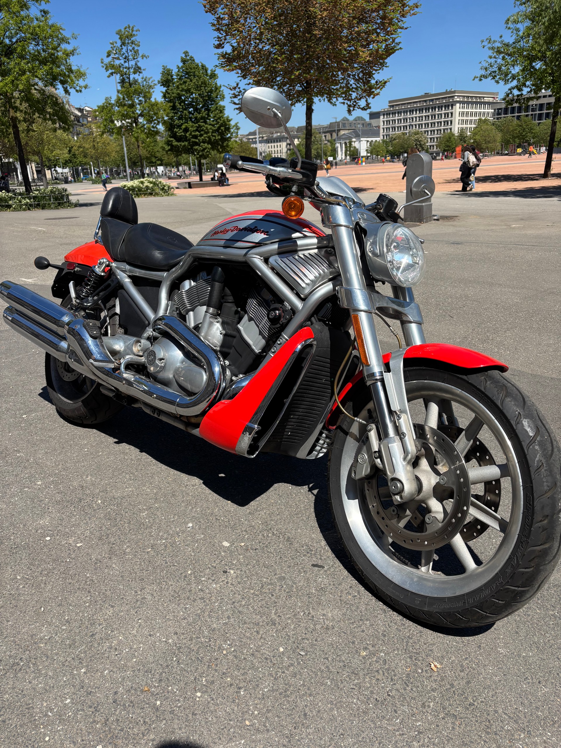 HARLEY-DAVIDSON VRSCR Street Rod
