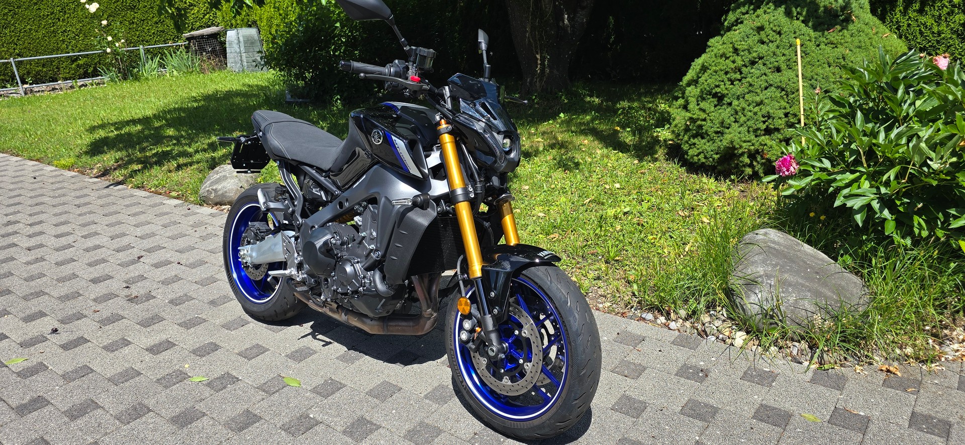 YAMAHA MT-09 SP-image-8