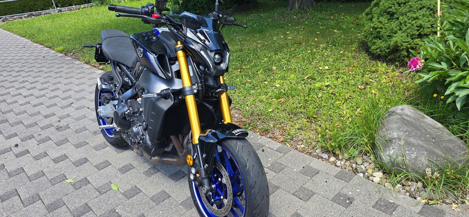 YAMAHA MT-09 SP-image-5