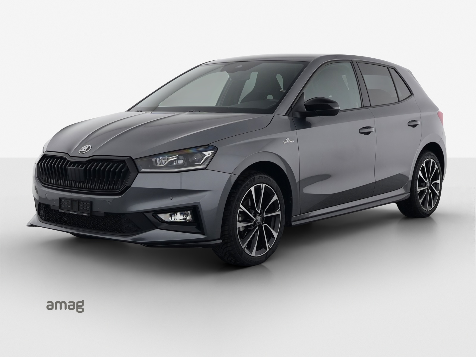 SKODA Fabia 1.0 TSI Monte Carlo DSG-image-0