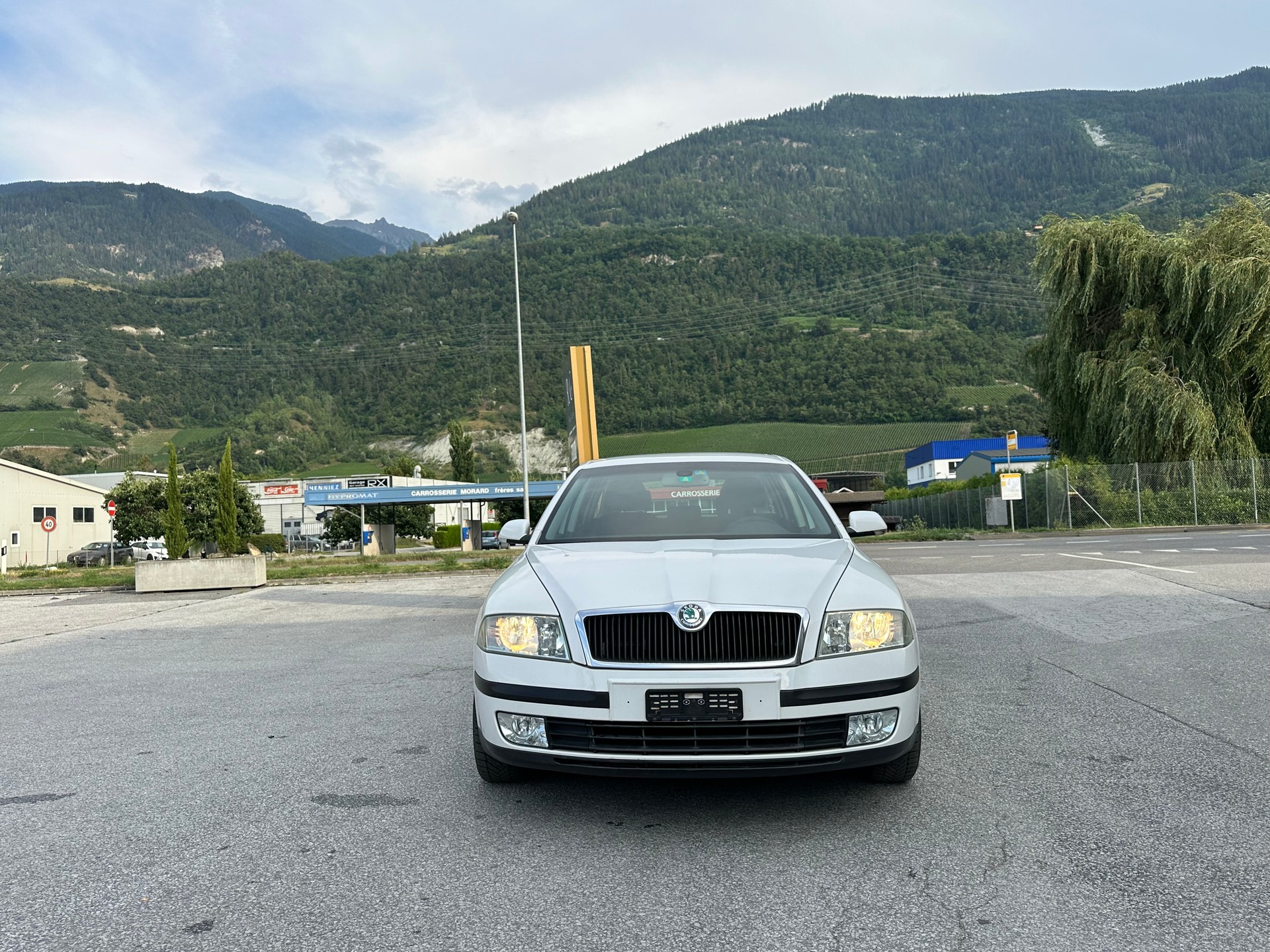 SKODA Octavia 1.9 TDI Swiss Adventure 4x4-image-2