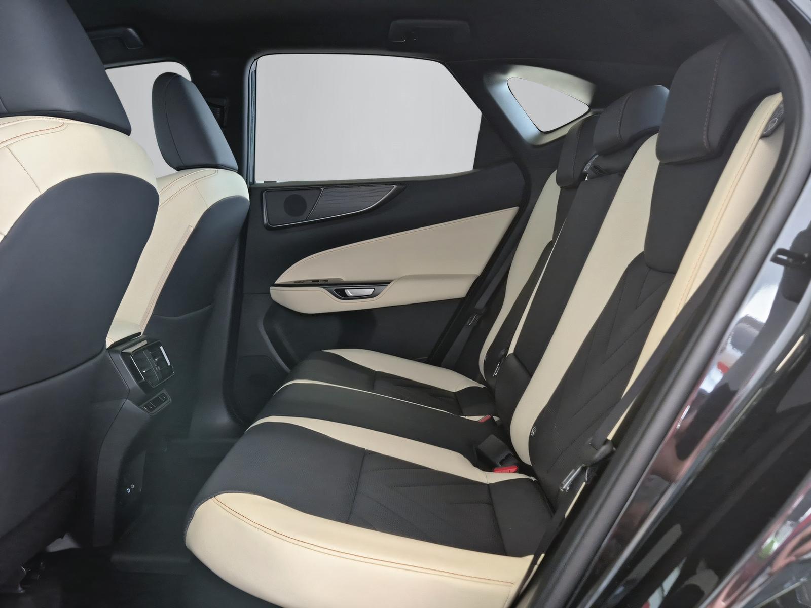LEXUS NX 450h+ Excellence-image-8