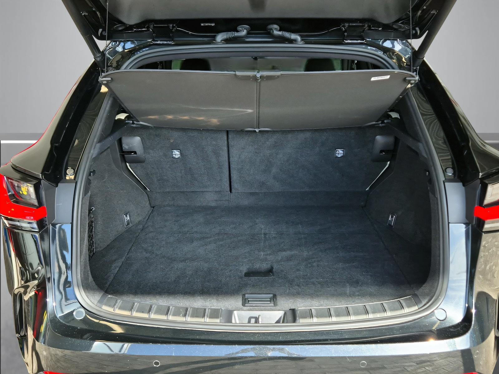 LEXUS NX 450h+ Excellence-image-11