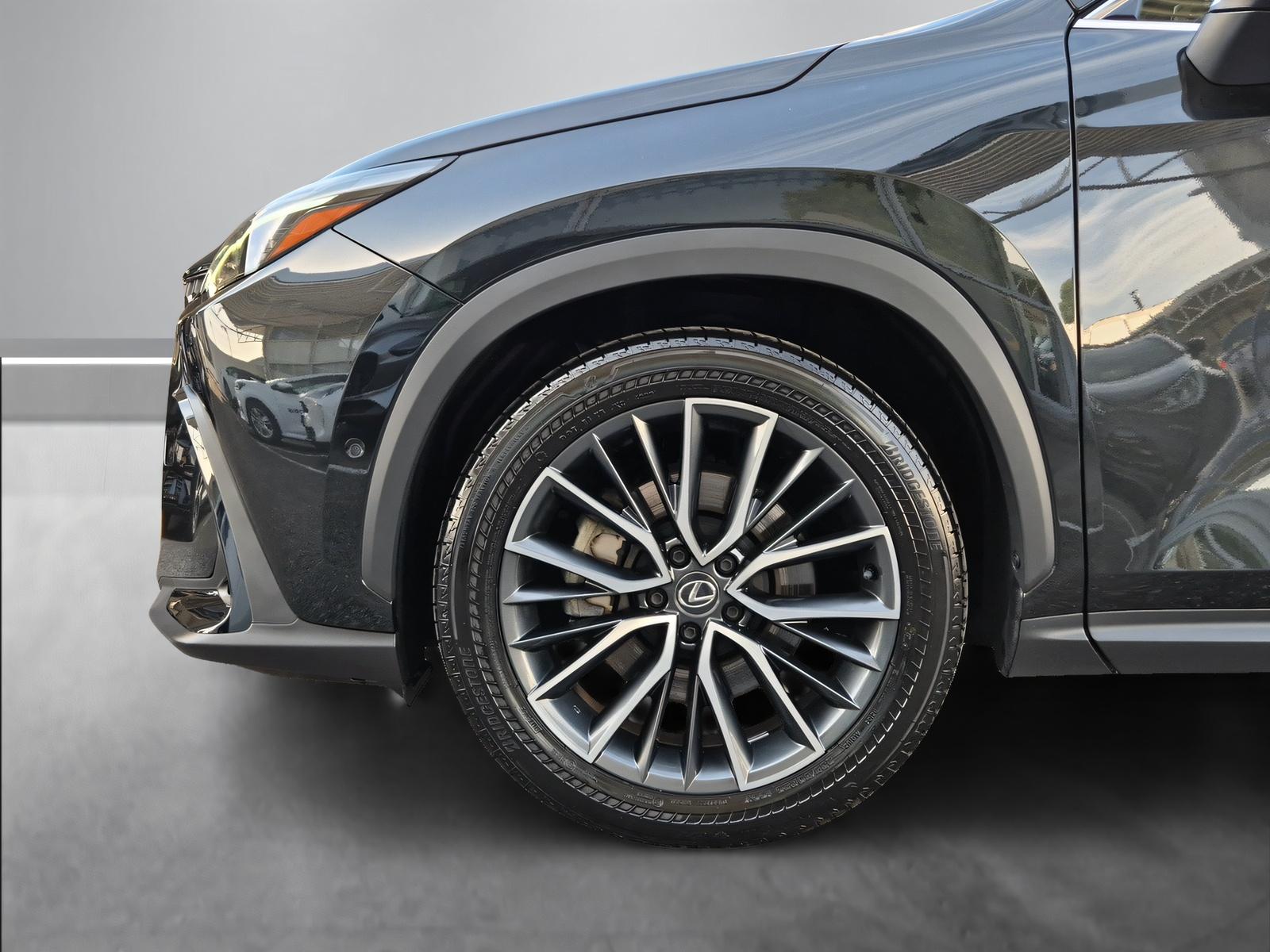 LEXUS NX 450h+ Excellence-image-13