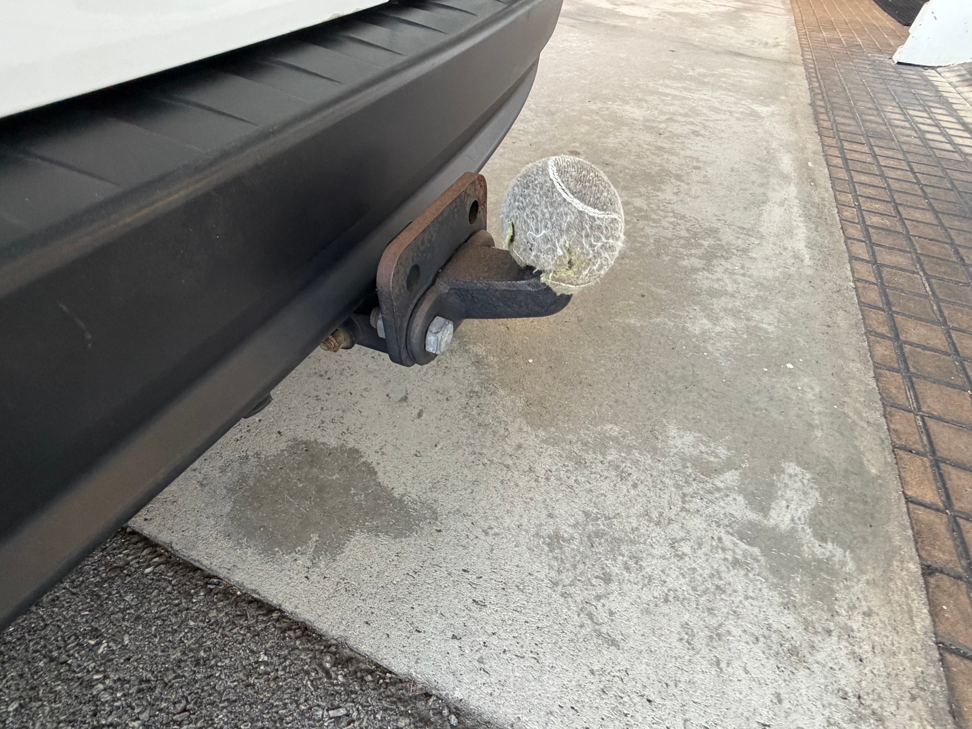 RENAULT Kangoo Medium TCe 115 ENERGY Access-image-11