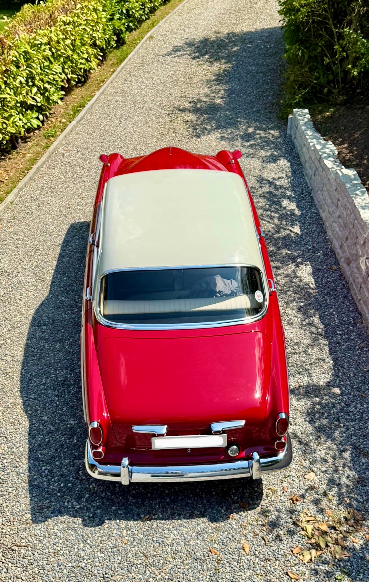 VOLVO Amazon Sport B16B 85 PS 1959-image-5