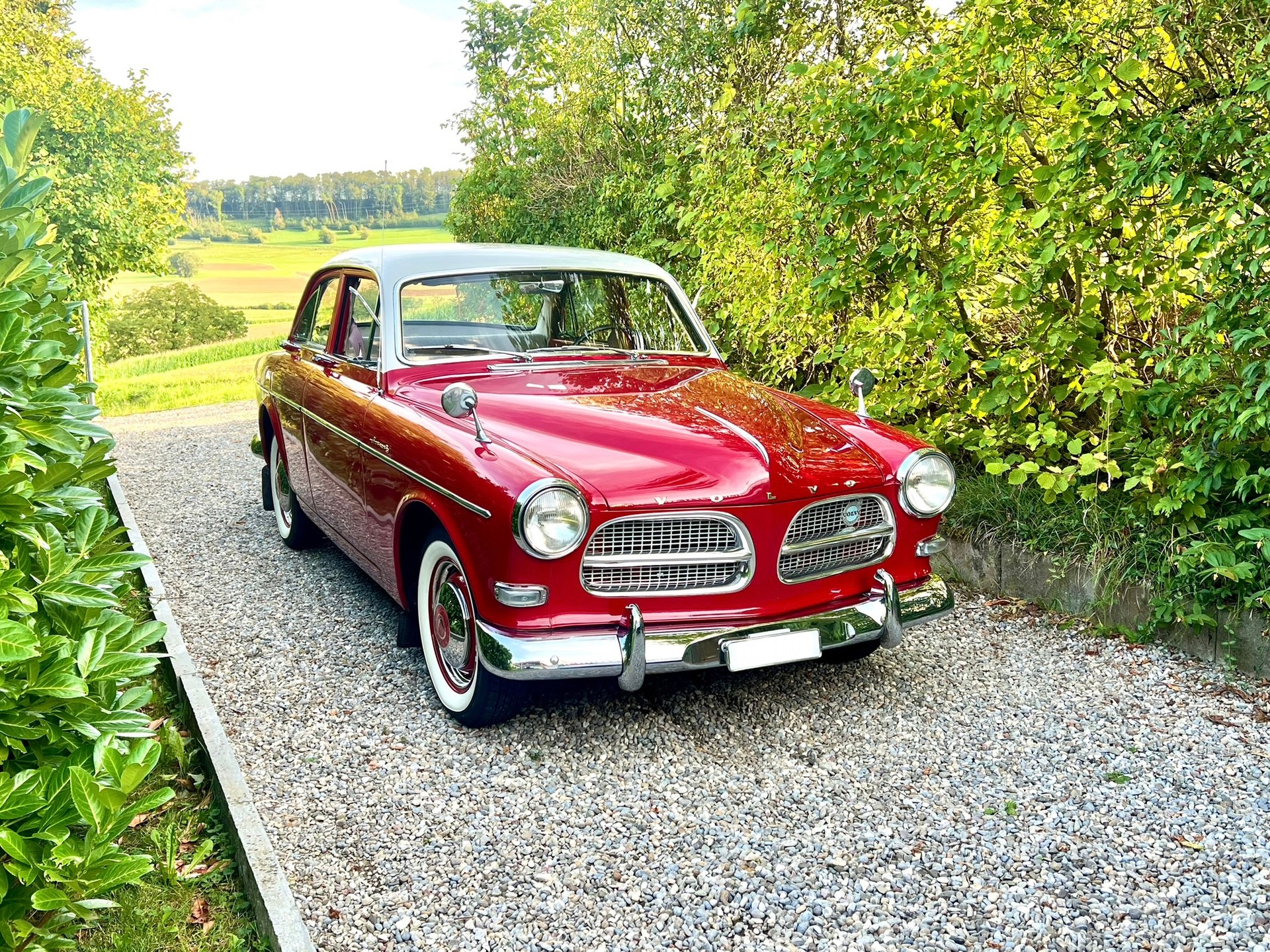 VOLVO Amazon Sport B16B 85 PS 1959