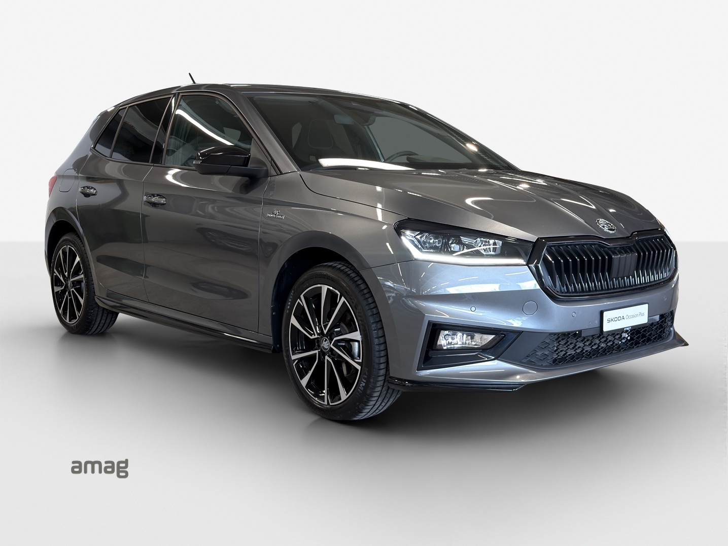 SKODA Fabia 1.5 TSI Monte Carlo DSG-image-4