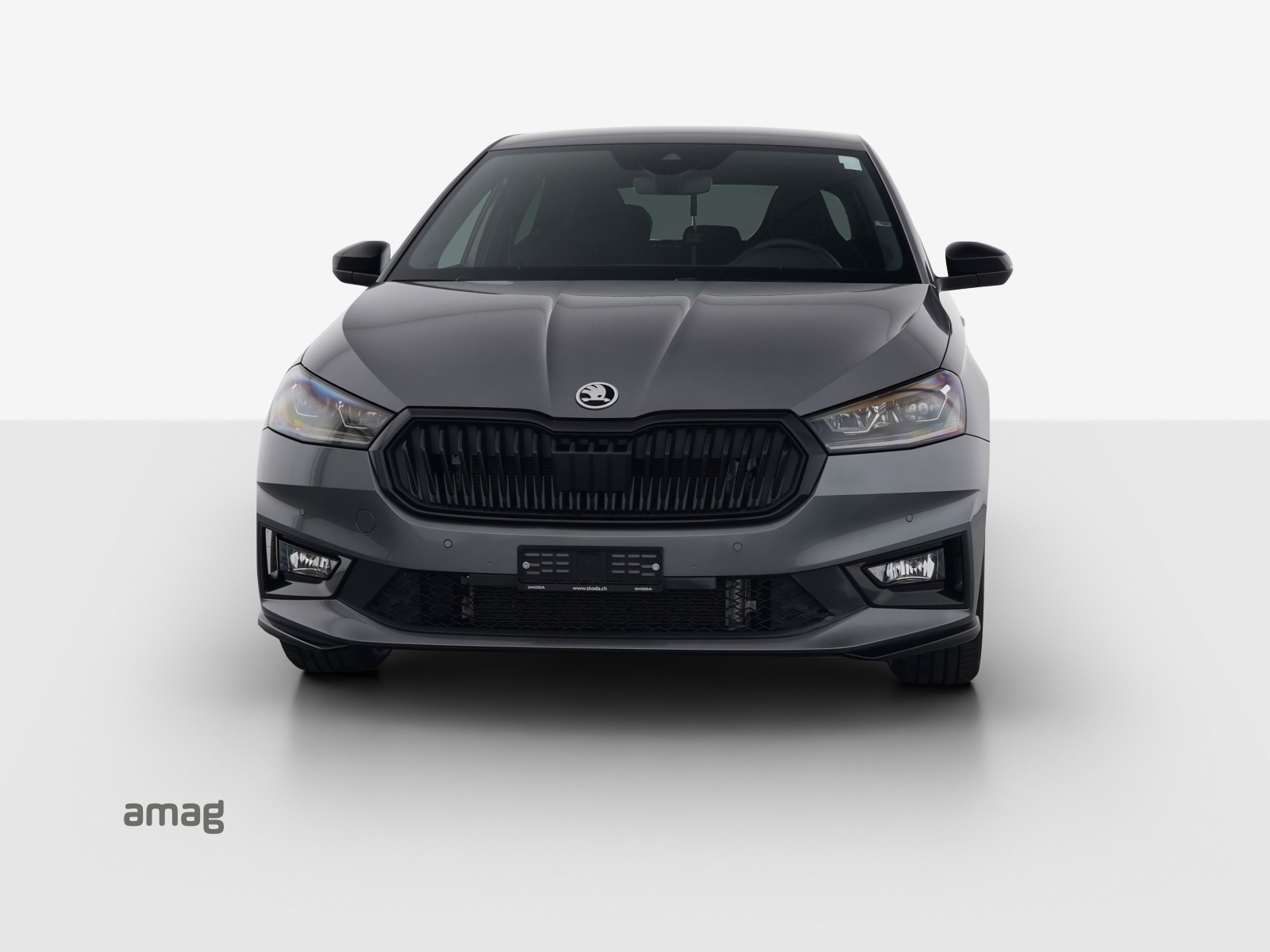 SKODA Fabia 1.5 TSI Monte Carlo DSG-image-20