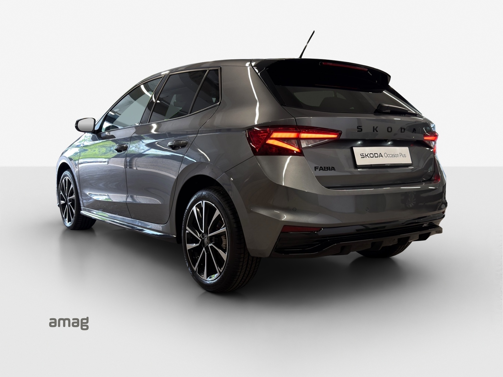 SKODA Fabia 1.5 TSI Monte Carlo DSG-image-2