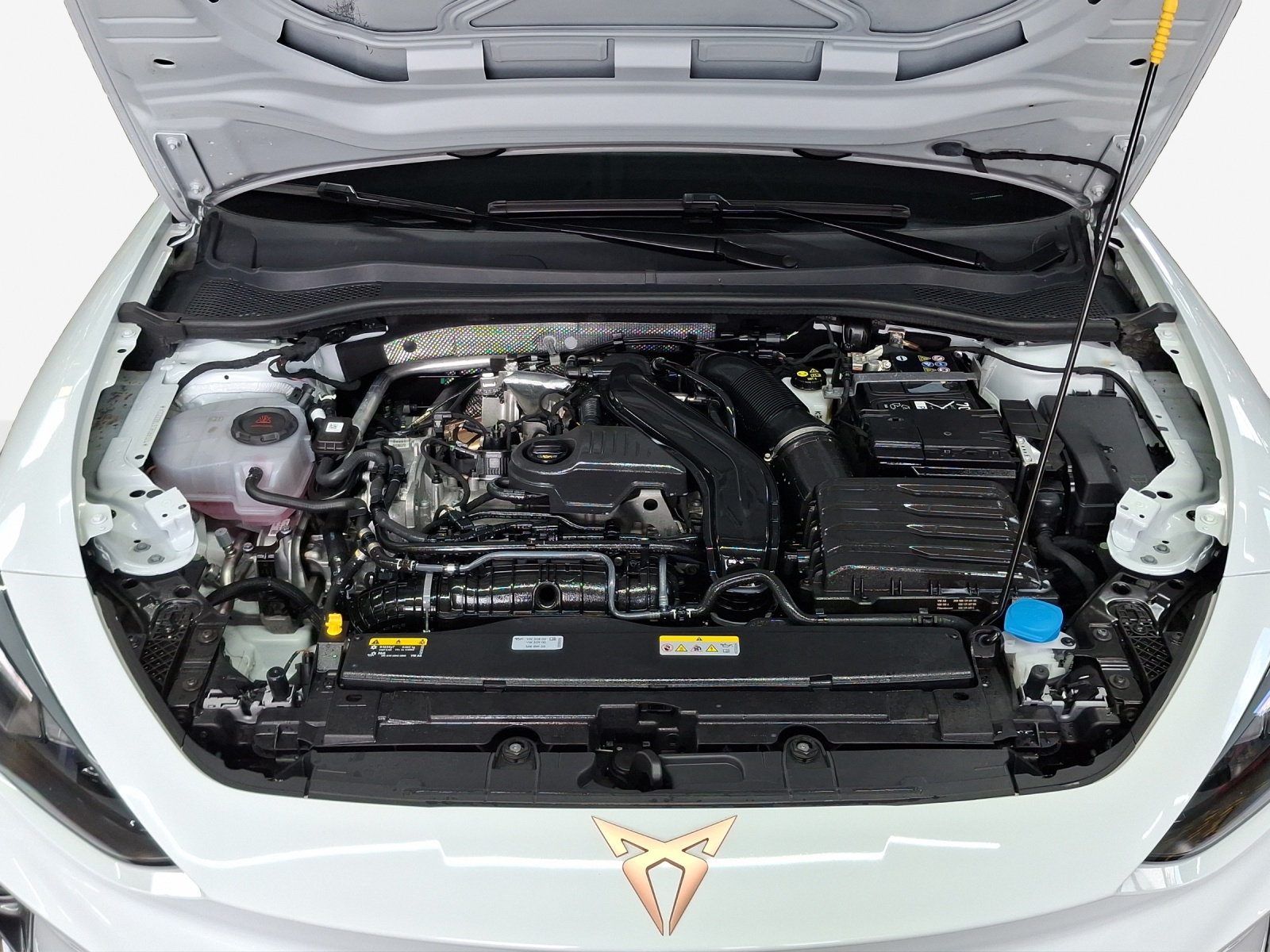 CUPRA LEON ST 1.5 eTSI DSG-image-15