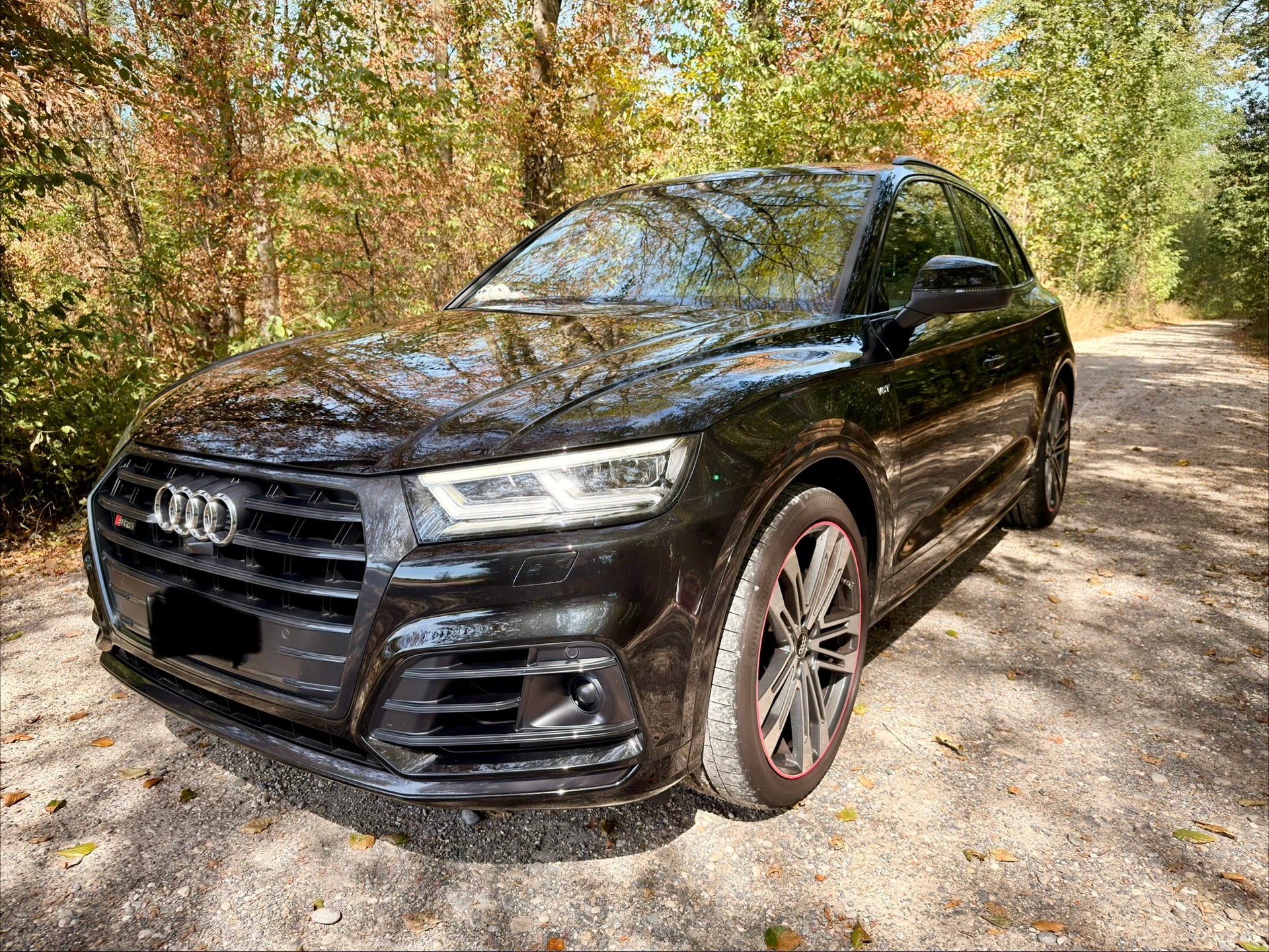 AUDI 3.0 V6 TFSI quattro T-Tronic-image-1