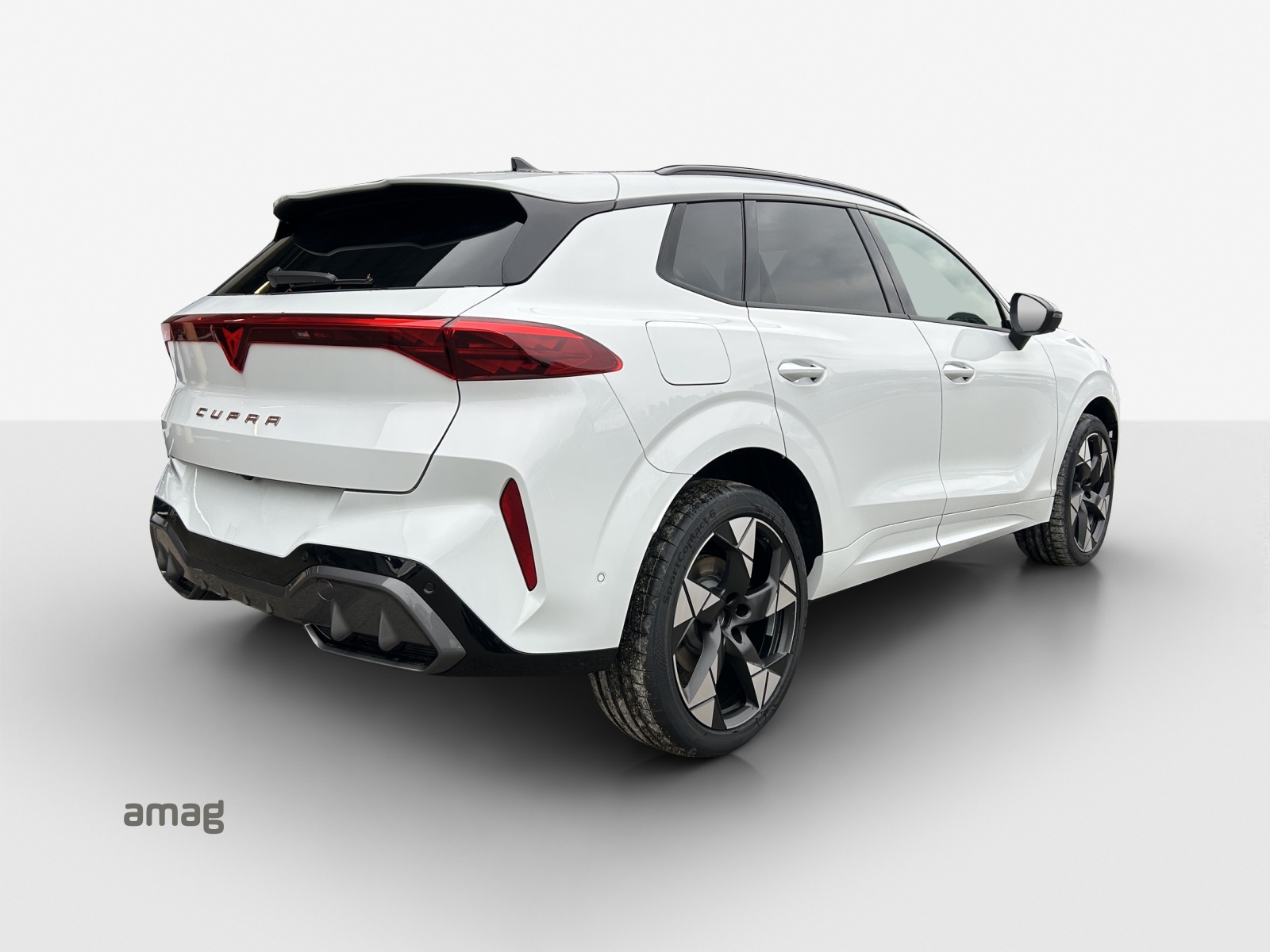 CUPRA Terramar 2.0 TSI DSG 4Drive VZ-image-4