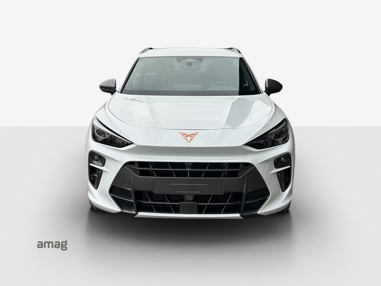 CUPRA Terramar 2.0 TSI DSG 4Drive VZ-image-6