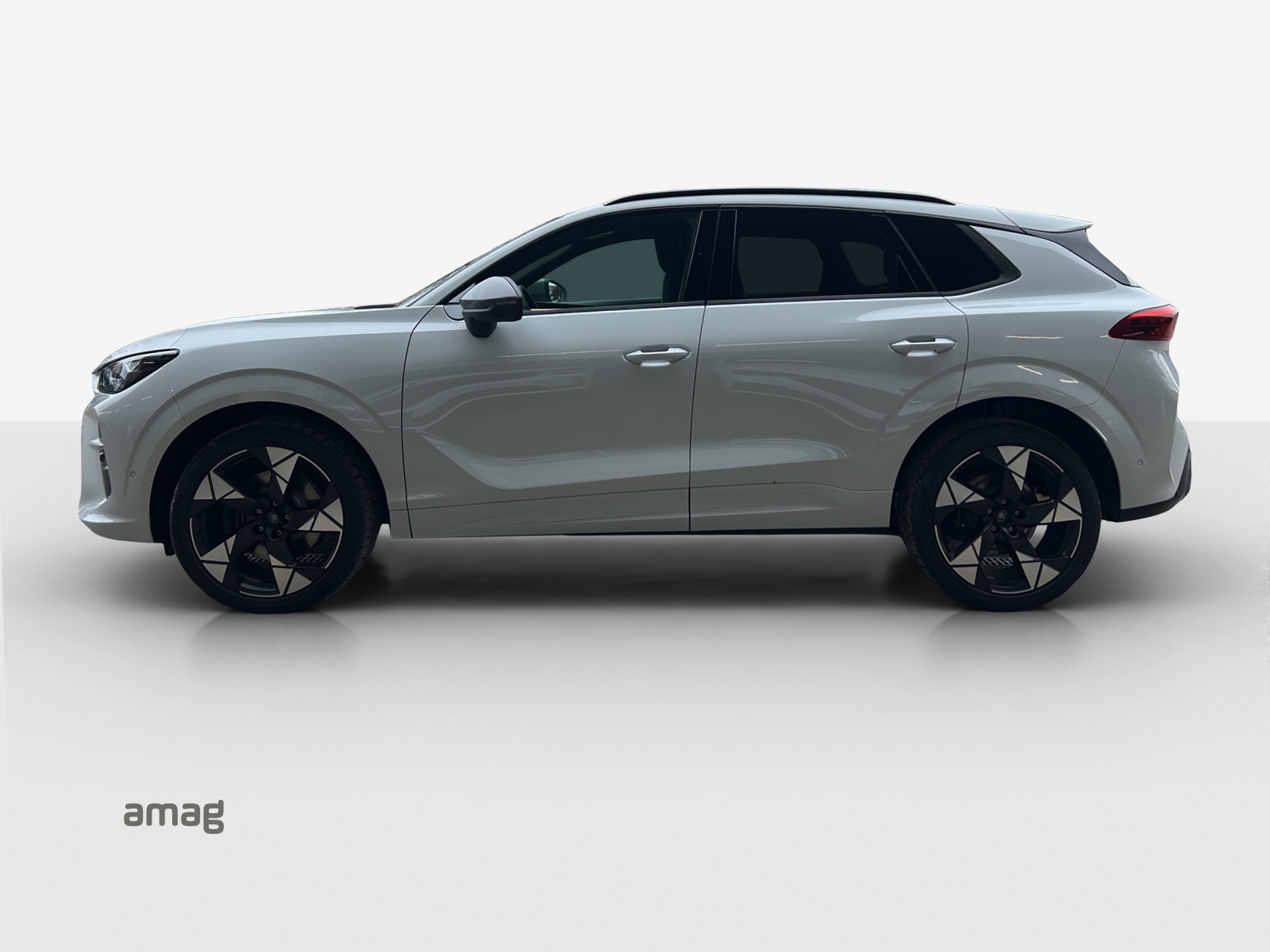 CUPRA Terramar 2.0 TSI DSG 4Drive VZ-image-1