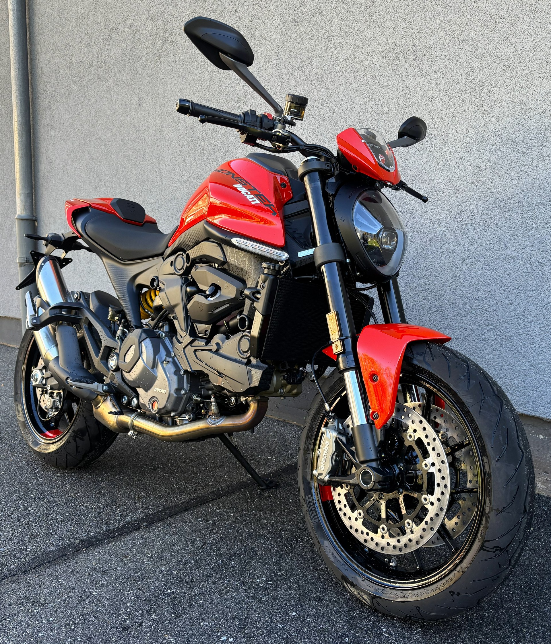 DUCATI Monster + 937-showroom-element-1