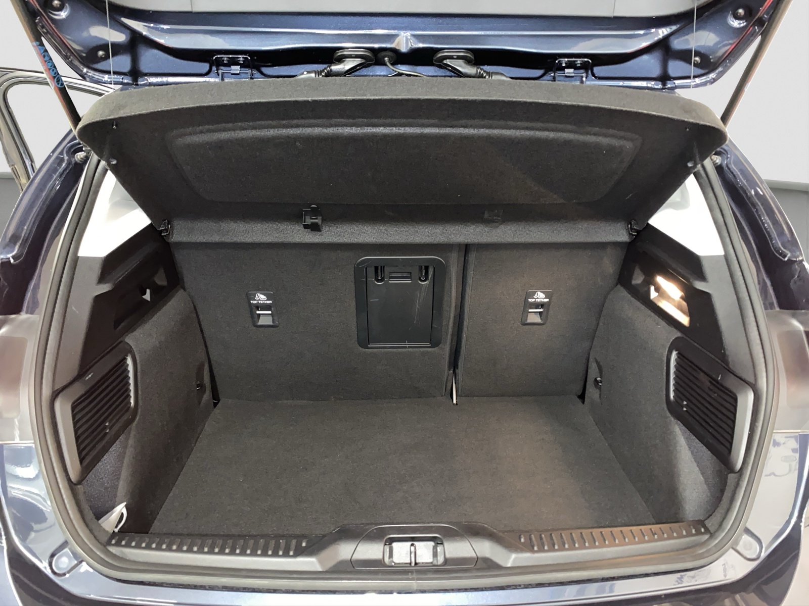 FORD Focus 2.0 EcoBlue 150 PS Vignale-image-13