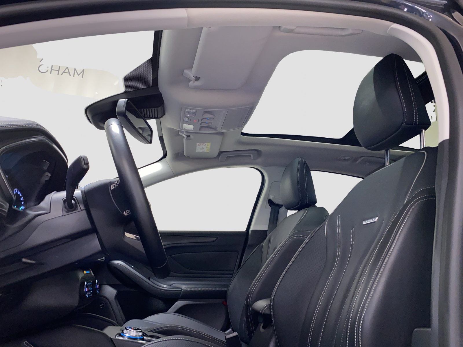 FORD Focus 2.0 EcoBlue 150 PS Vignale-image-6