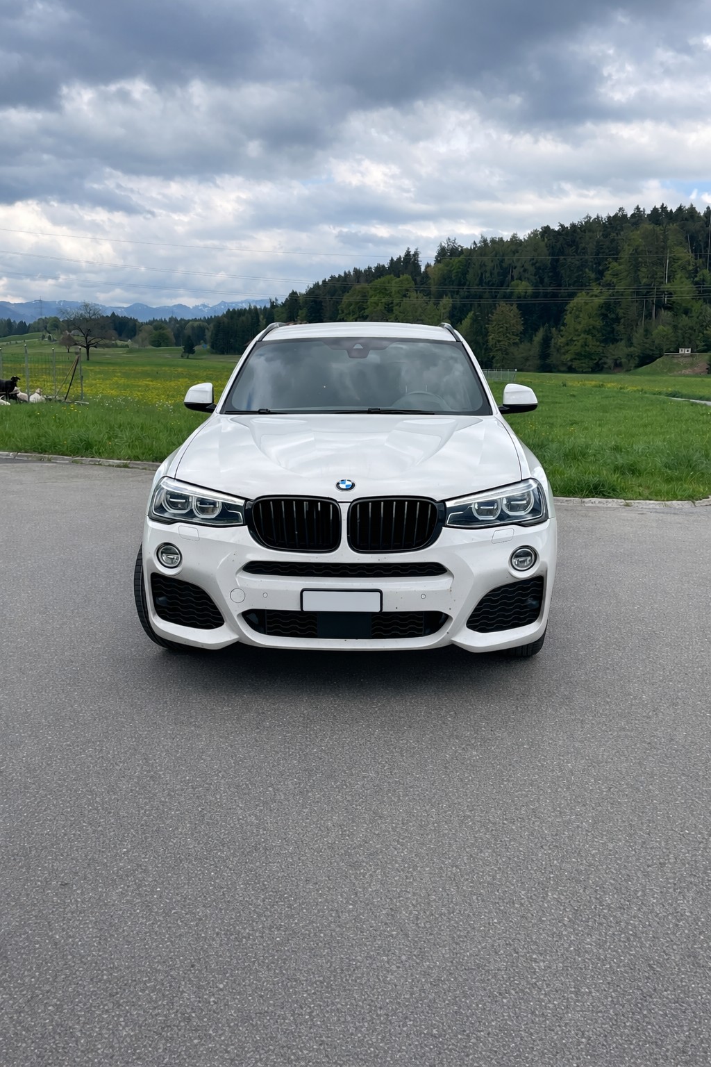 BMW X3 xDrive 20d M Sport Steptronic-image-1