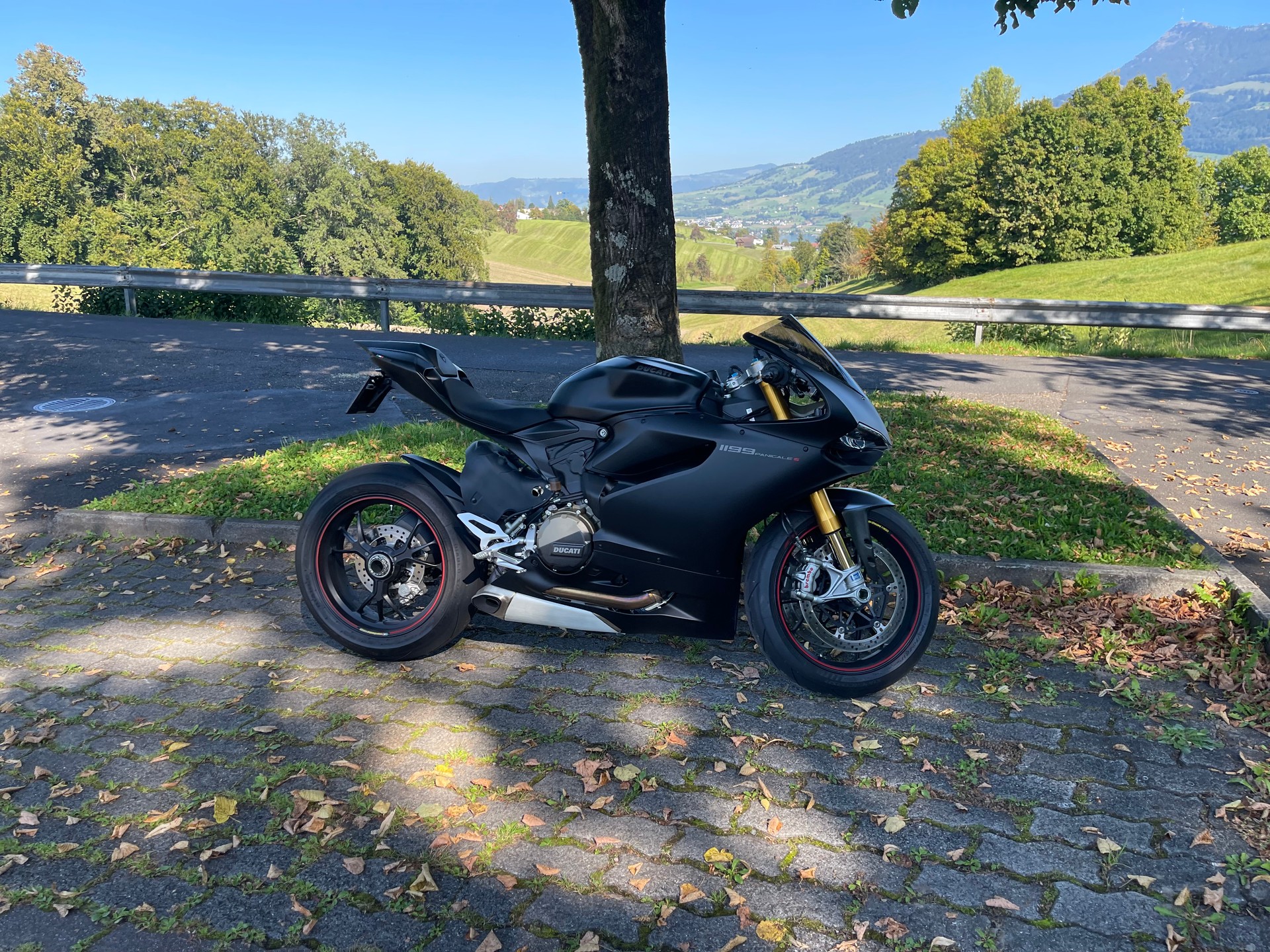 DUCATI Panigale 1199s Dark Stealth-image-2