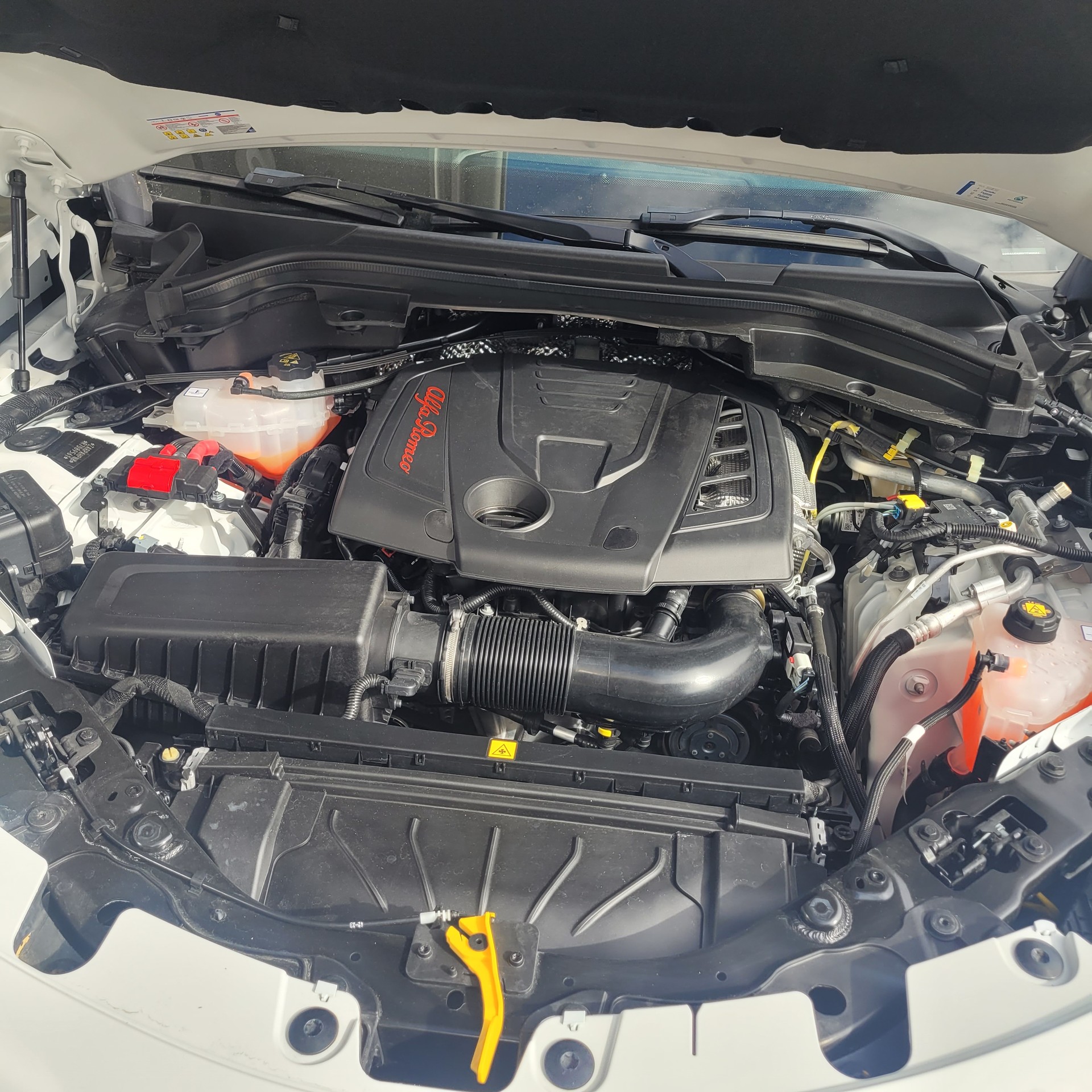 ALFA ROMEO Stelvio 2.0 Sprint Edition Q4 AT8 CH Fahrzeug-image-13