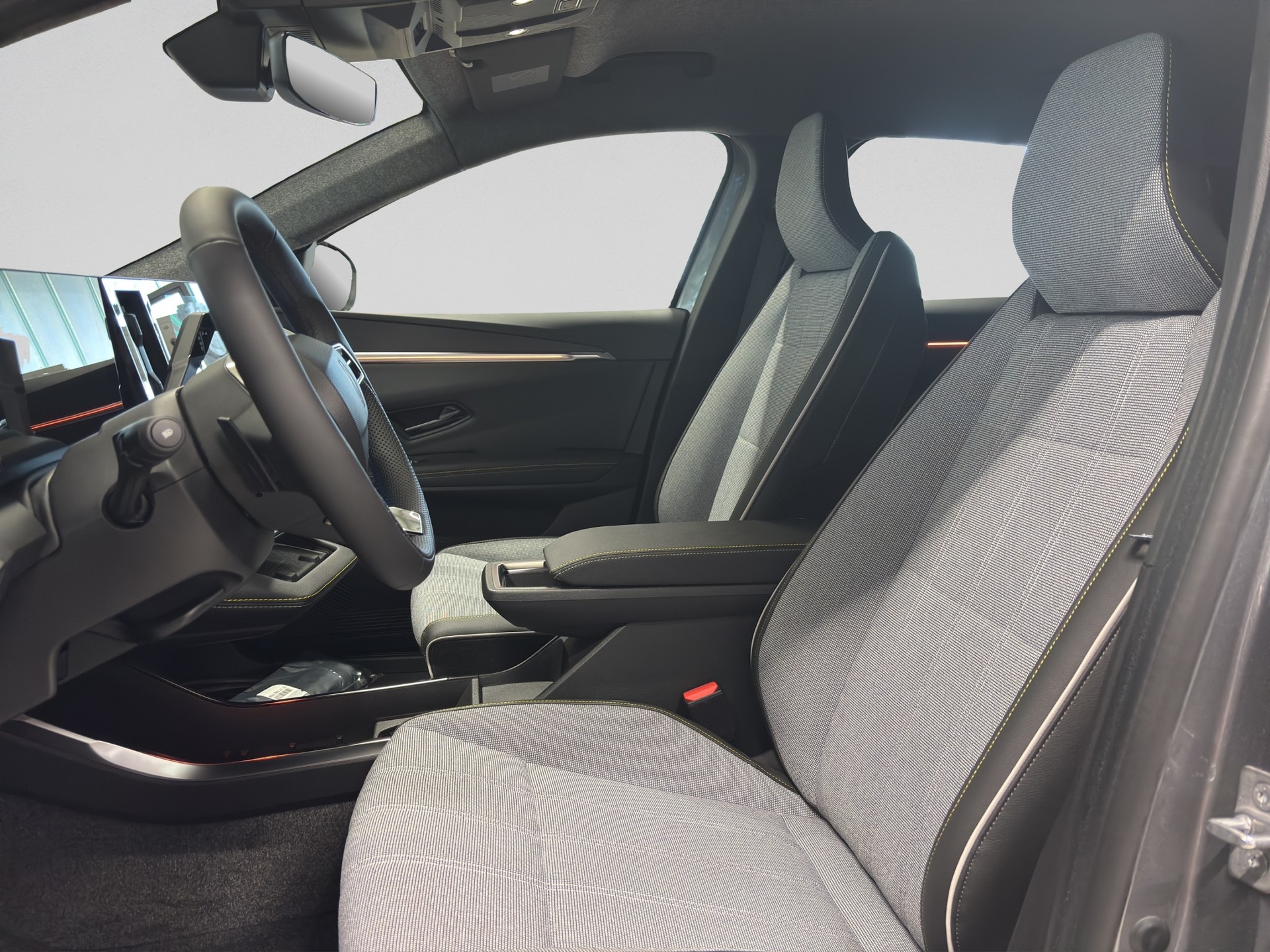 RENAULT Scénic E-Tech Long Range Techno-image-8