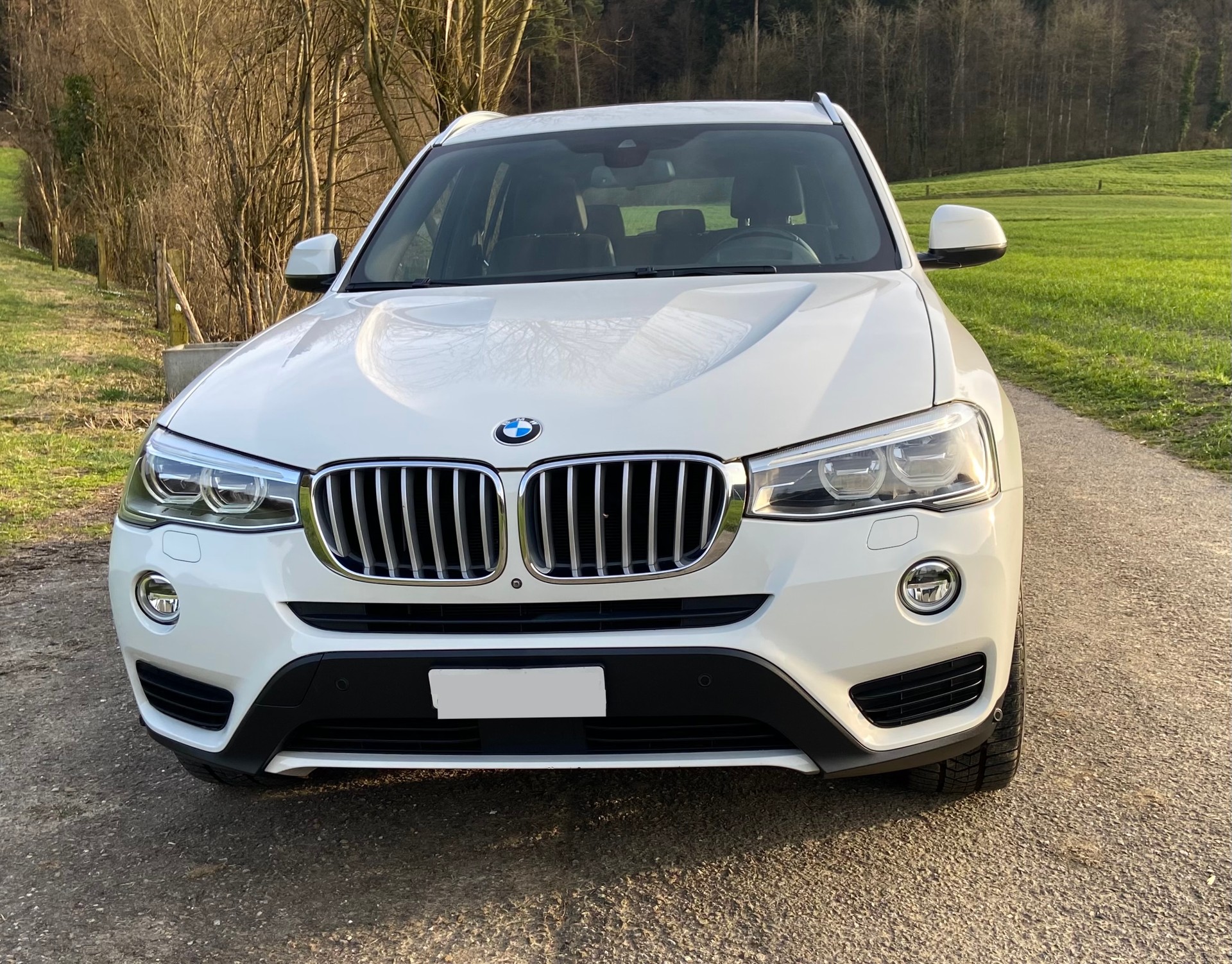 BMW X3 xDrive35d-image-3