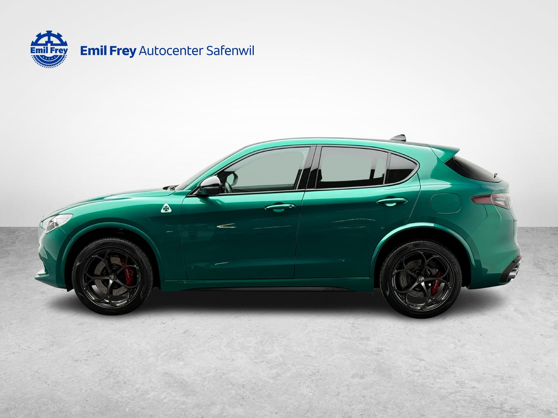 ALFA ROMEO Stelvio 2.9 V6 Biturbo Q4 Quadrifoglio-showroom-element-1