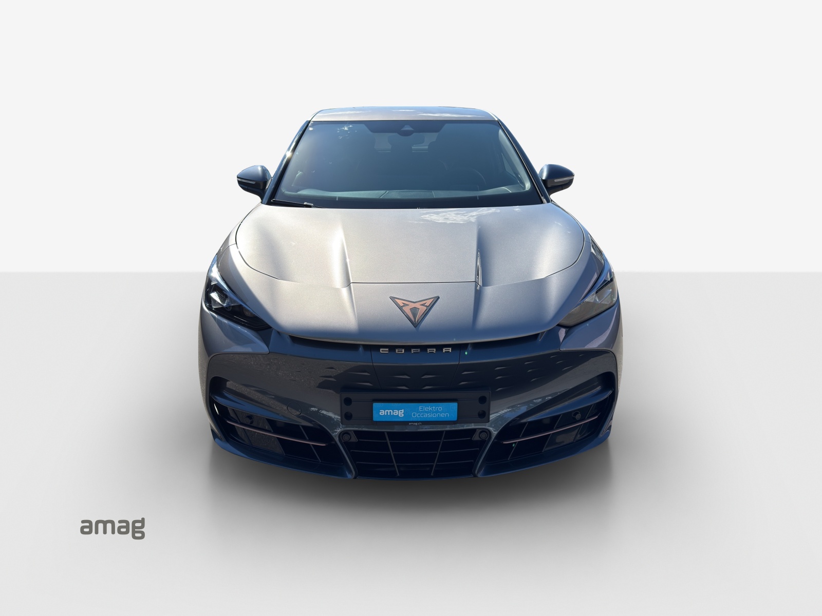CUPRA Tavascan Type 8 77 kWh VZ-image-6