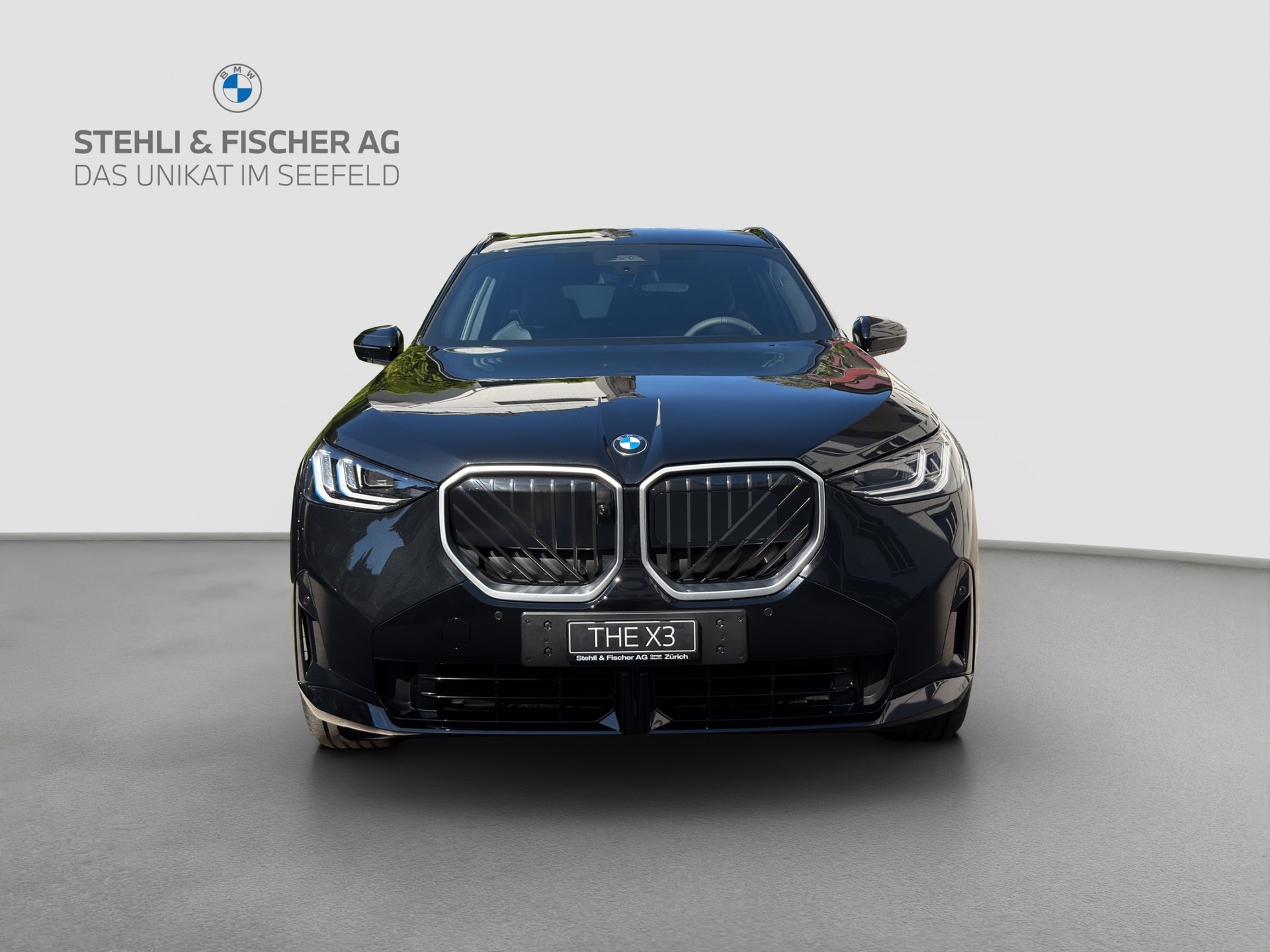 BMW X3 xDrive 30e M Sport-showroom-element-2